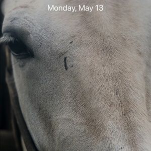 Meet your Posher, Tricia